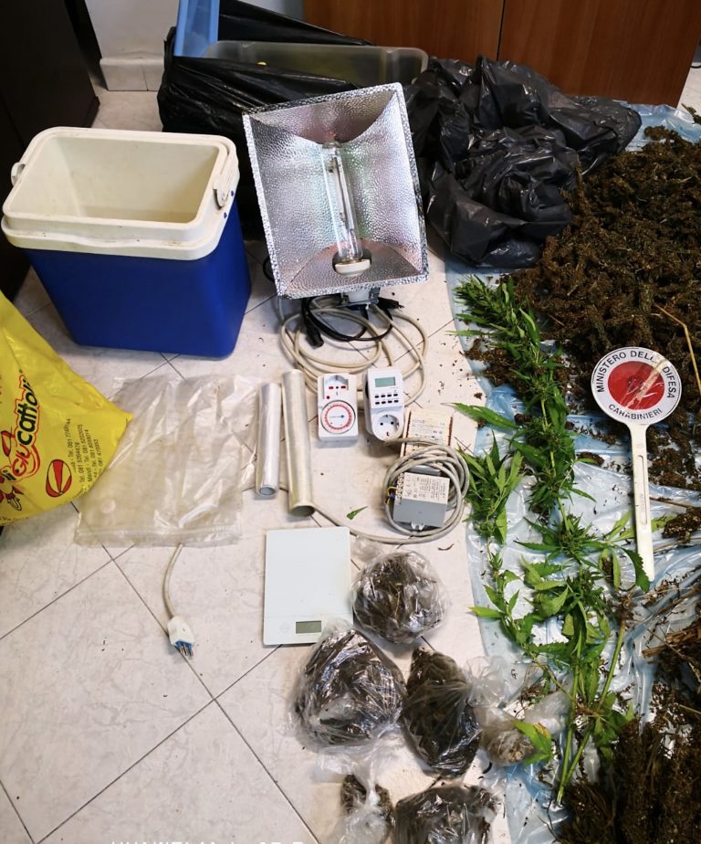 Volla, piante di cannabis e marijuana: arrestato 48enne