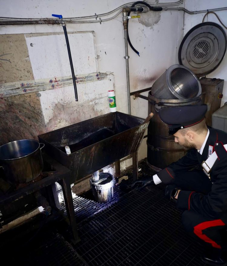 Carbonara di Nola, scoperto laboratorio abusivo sotto ditta legale: denunce, sequestri e sanzioni