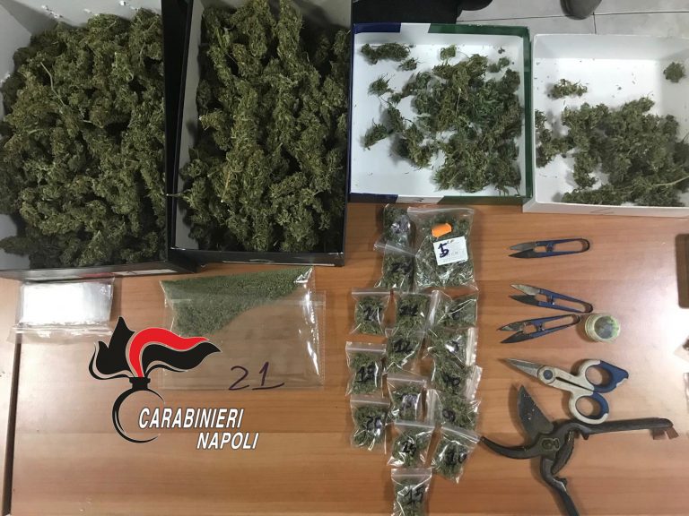 Sant’Anastasia, scoprono serra per la marijuana nel giardino di casa e lo arrestano