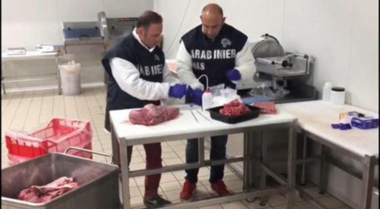 Insetti alati nei cibi, sporcizia, abusivismo: i NAS ad Afragola, Marano, Marigliano e Somma