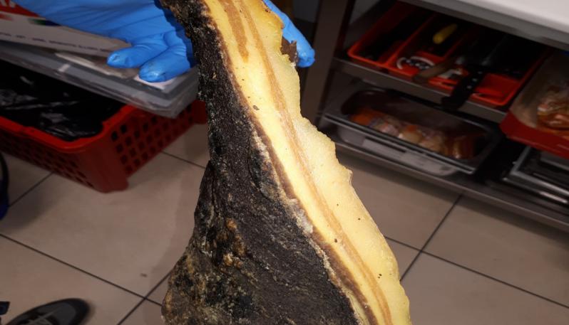 Sant’Anastasia, Cicciano, Rocca, Sant’Antimo e Pozzuoli: vermi nei cibi e carenze igieniche. Blitz dei NAS