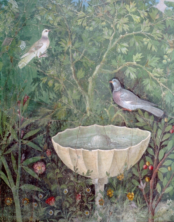 Il racconto “Le salutari erbe del Vesuvio” con cui Carmine Cimmino ha vinto il concorso letterario “L’orto in nero”