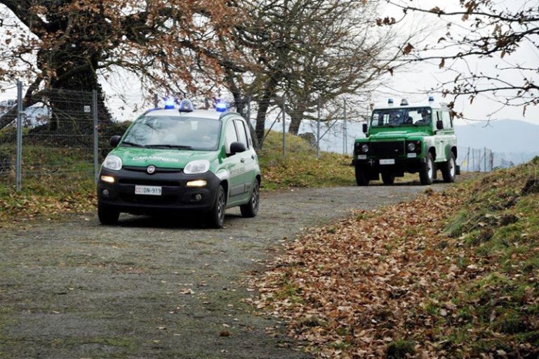 Marigliano e Roccarainola, carabinieri forestali in azione: denunce e sequestri