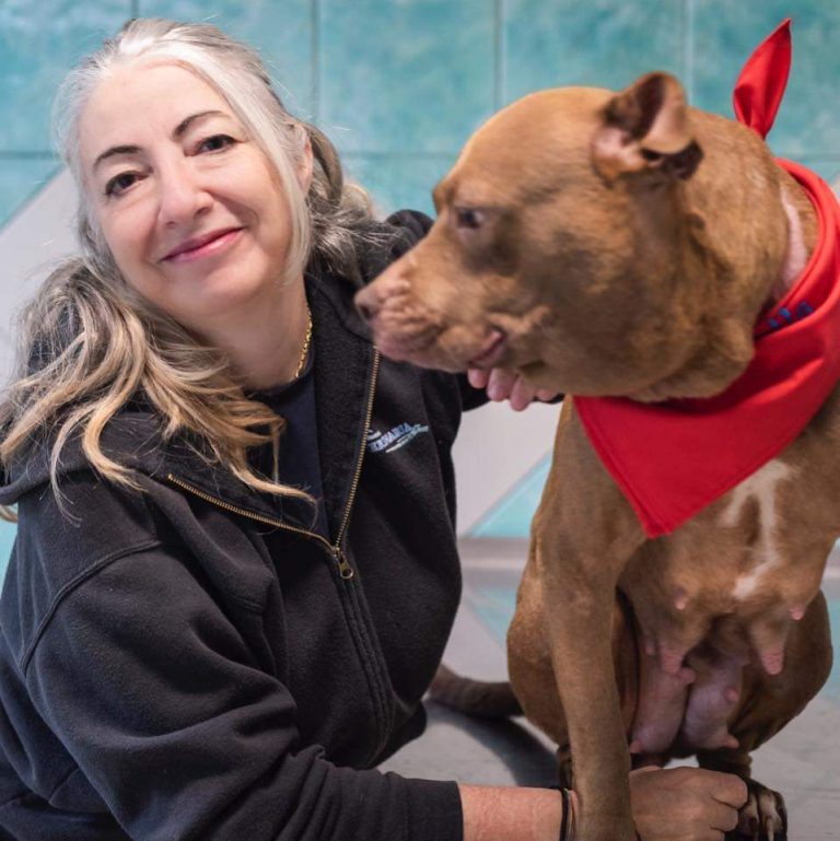 Nola, la scrittrice  Monica Pais presenta il suo ultimo libro dedicato agli animali