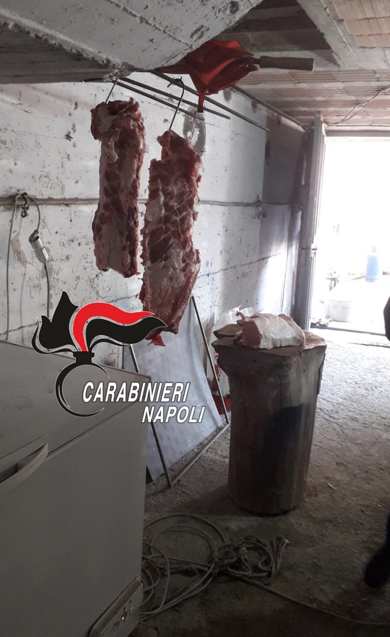 Marigliano, macellazione abusiva: sequestrati 200 Kg di carne