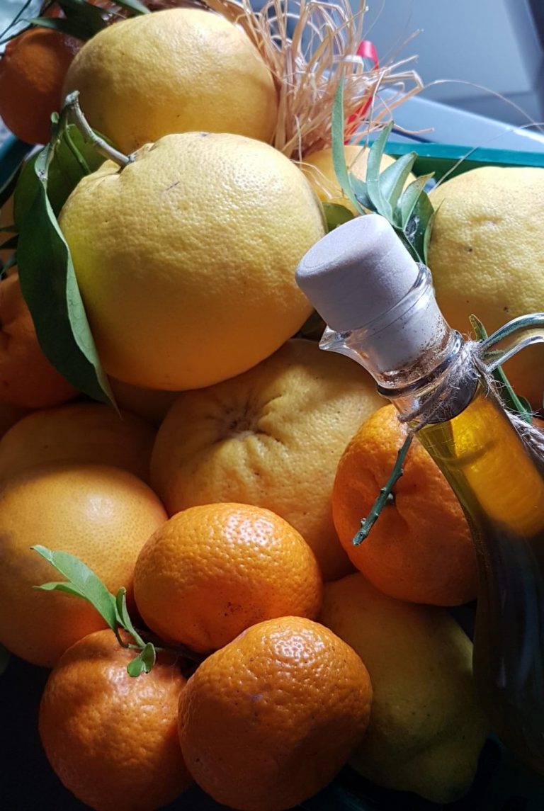 Famiglia dei Coronavirus e virus influenzali: cofattori che contribuiscono alla guarigione