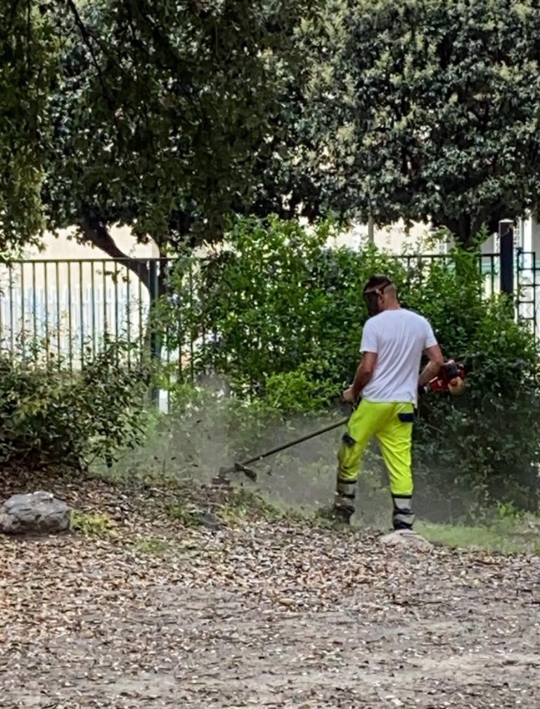 Sant’Anastasia, prosegue la manutenzione del verde pubblico con la pulizia del “Boschetto”