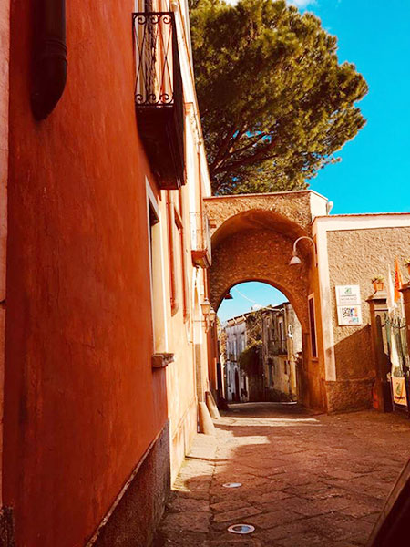 Ottaviano, il Consiglio Comunale ha nominato i membri della Commissione per il Paesaggio