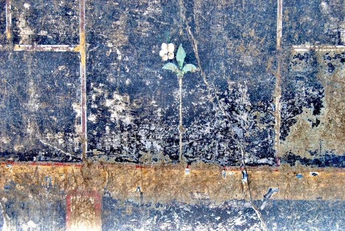 Nuova scoperta negli scavi di Pompei: torna alla luce la villa del Sauro bardato