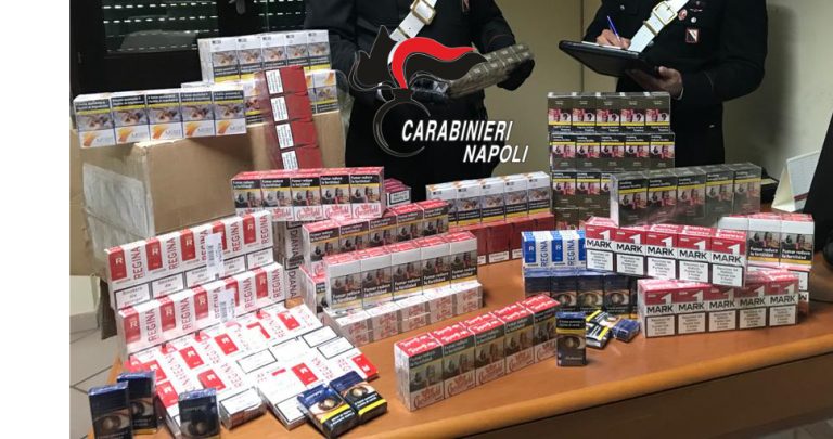 Somma Vesuviana, nascondeva  in casa TLE: denunciano 59enne