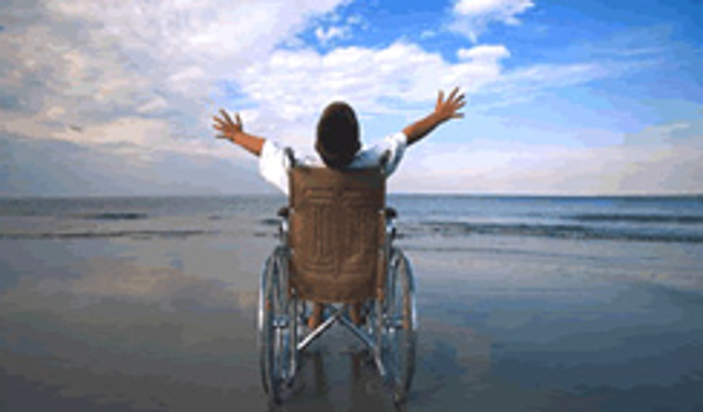 carrozzinadisabile