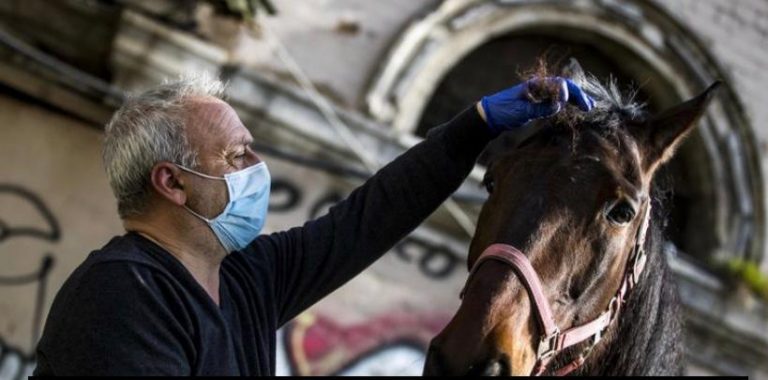 Diritto di replica, class action Horse Angels: carrozze e cavalli, vetturini italiani onesti