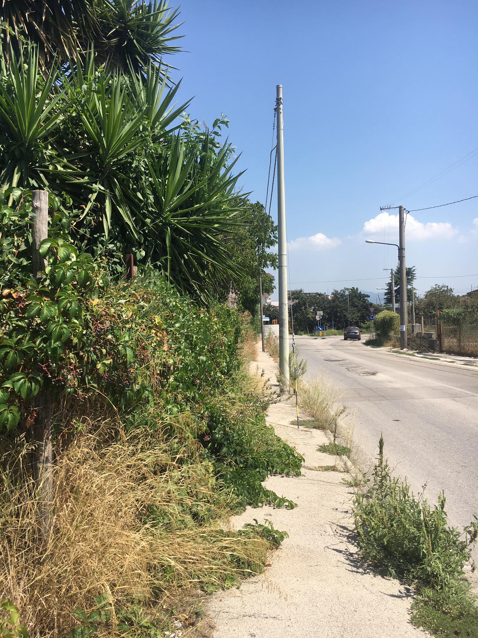 via provinciale scisciano 3