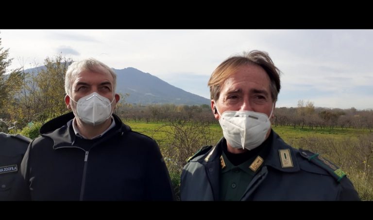 Somma Vesuviana, scoperte numerose aree di scarichi abusivi, Di Sarno:”Tolleranza zero contro i reati ambientali”