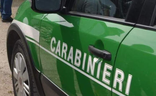 Casoria, sicurezza alimentare e tutela del lavoro: in un’azienda i carabinieri trovano 11 lavoratori in nero