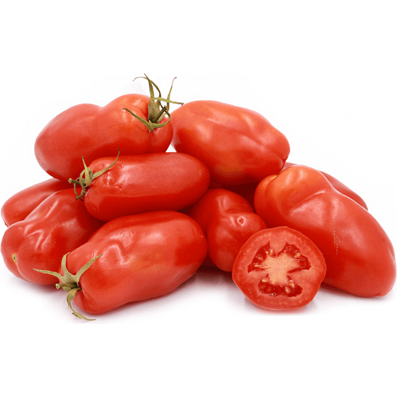 pomodoro-san-marzano-biologico
