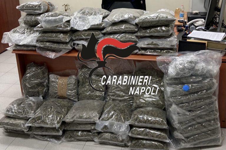 Giugliano, duro colpo allo spaccio giuglianese : arrestati  2 pusher con 58 chili di marijuana