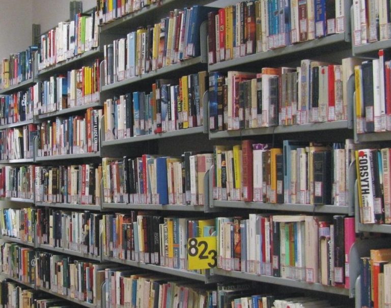 Palma Campania, biblioteca on line: testi e giornali consultabili dal web