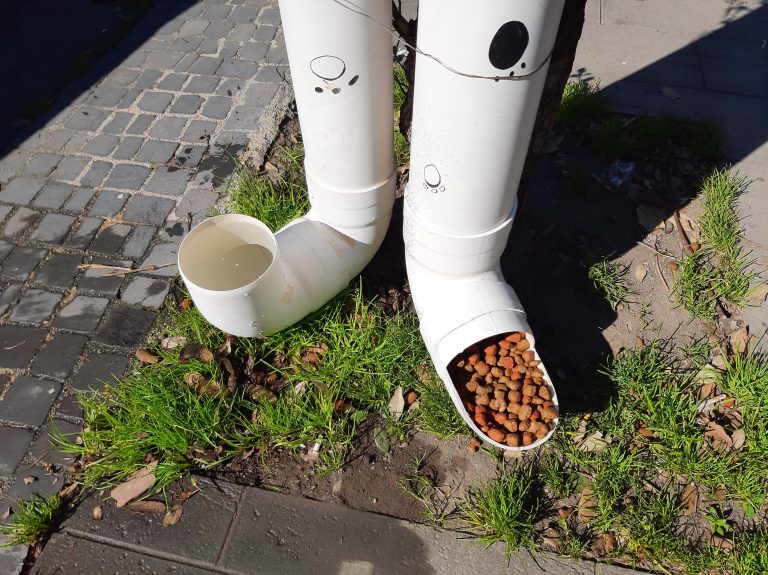 Somma Vesuviana, l’Associazione “Cani di Somma” trasforma le tubature in dispenser di cibo e acqua per cani randagi