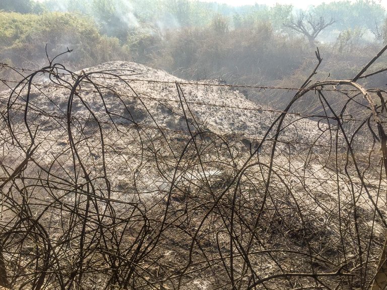Discarica dell’ecomafia, il gip: “indagare il sindaco di Acerra per la mancata bonifica” 