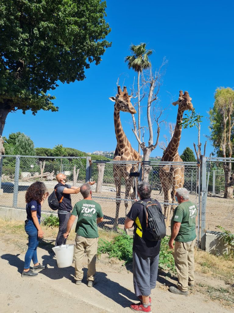 Napoli, “Ti porto fuori”: un tour virtuale allo zoo per i piccoli pazienti del Pausilipon