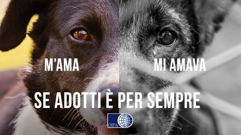 “M’ama, m’amava” è il nuovo slogan della Campagna antiabbondono animali dell’OIP