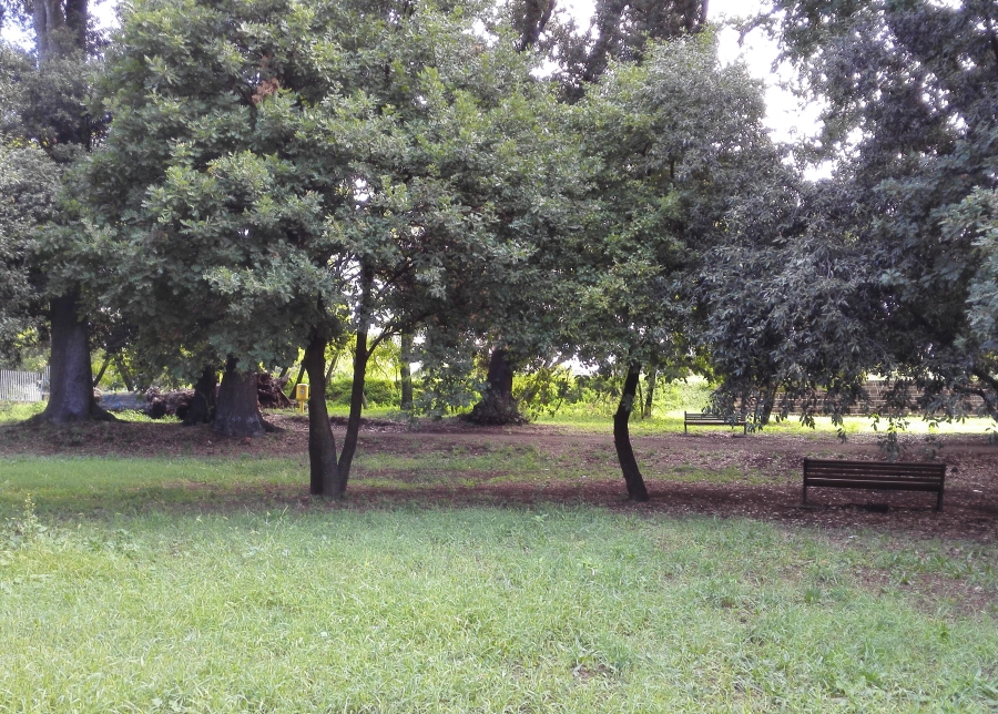 Sant’Anastasia, il Parco Tortora-Brayda: un po’ di storia tra gli alberi