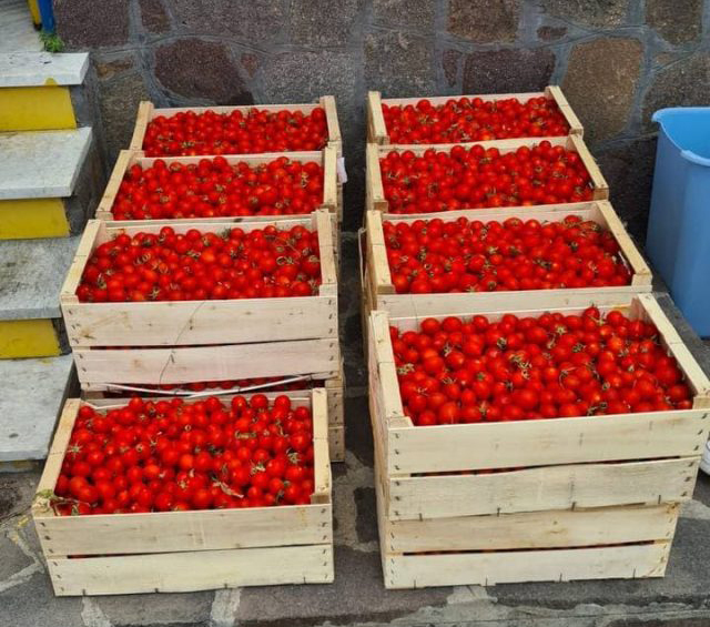 Sant’Anastasia, più di una tonnellata di pomodorini dissequestrata e distribuita in beneficenza