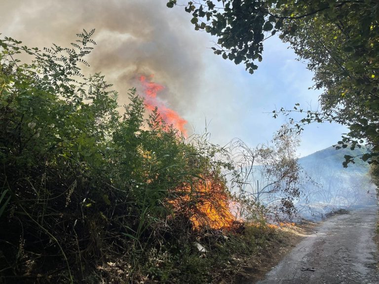 Incendi boschivi nel Parco Vesuvio:arrestato 70enne