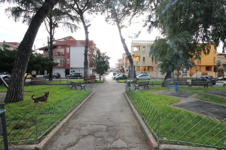 Acerra, una donazione per rinascere: 6 alberi per piazza Soriano