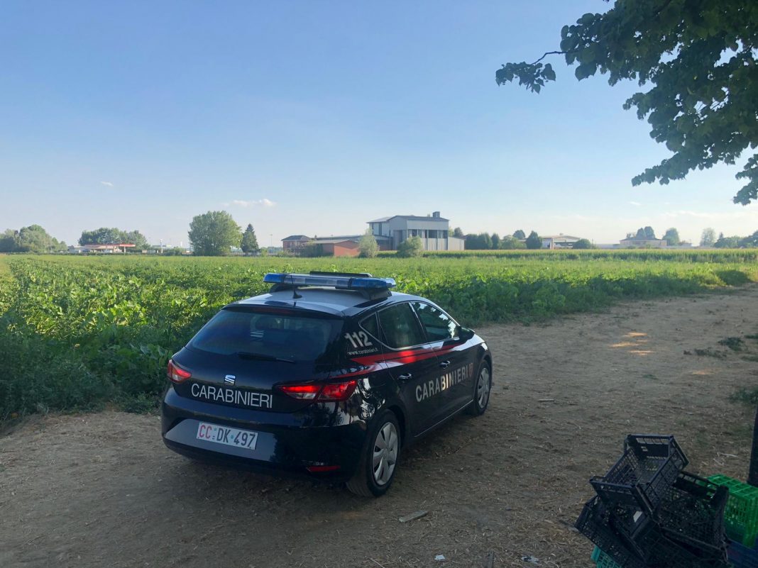 Caporalato ad Acerra: i trucchi degli agricoltori che sfruttano gli stranieri