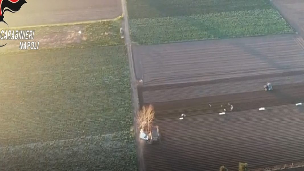 Acerra, blitz contro lavoro nero: denunciato imprenditore agricolo, tolto Reddito a operai