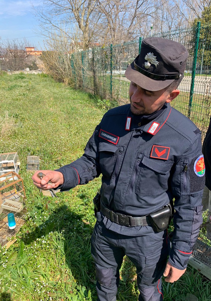 Bracconiere intercettato nelle campagne di Acerra: denuncia e multa