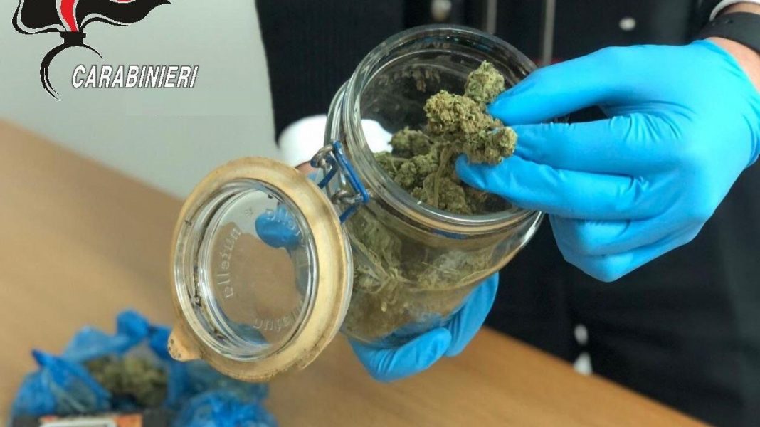 Bimba di 6 mesi mangia marijuana e finisce all’ospedale