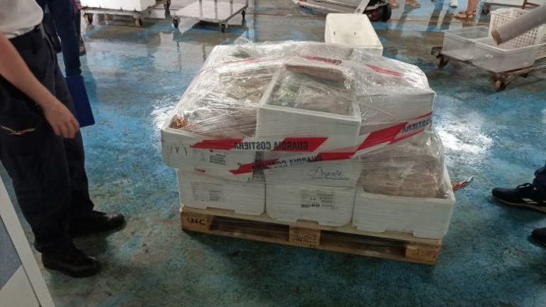 Ercolano, sequestrati 50 chili di prodotti surgelati