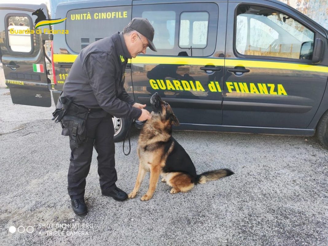 Alto Impatto nel Vesuviano, trovate armi e droga: tre arrestati in autostrada