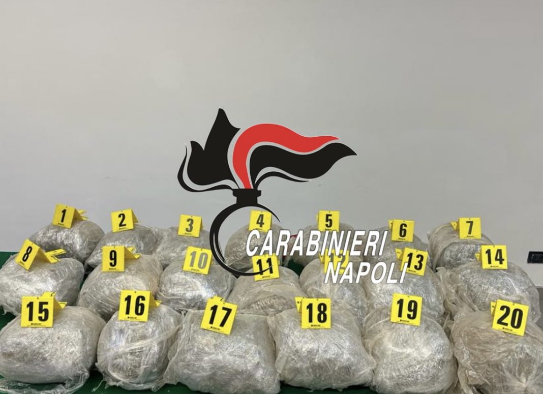 Colpo alla criminalità, sequestro record di droga e armi. Preso anche fondatore del clan