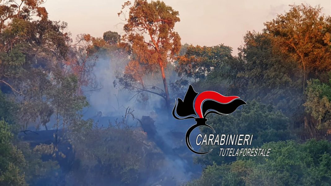 In fiamme, in questo caso, tre ettari di bosco nel Parco Regionale del Partenio, nel Comune di Roccarainola (Napoli).