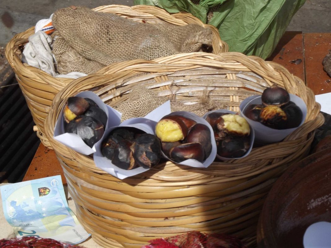 A Roccamonfina per raccogliere le castagne Igp e alla ricerca di noi stessi