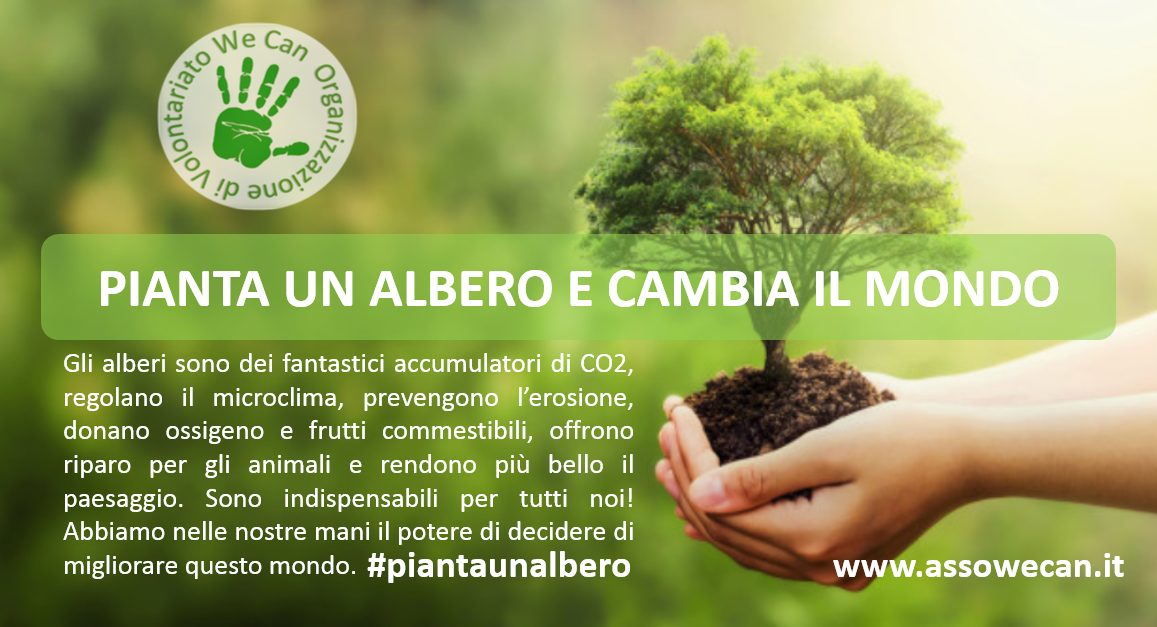 We Can, ecco il progetto #piantaunalbero: appuntamento a Roccarainola, Cicciano e Camposano