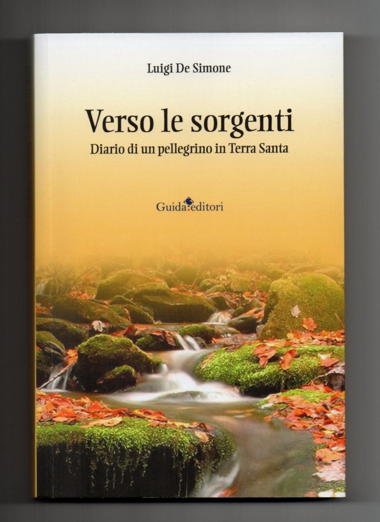 Il nuovo libro di Luigi De Simone “Verso le sorgenti”: diario di un pellegrino in Terra Santa