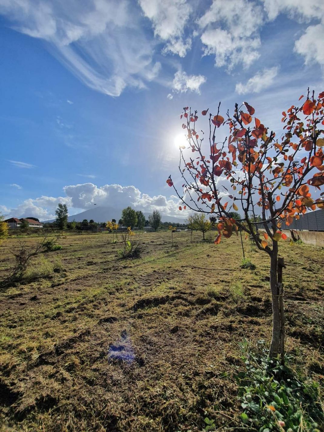 Casalnuovo, raccolta fondi per un terreno confiscato