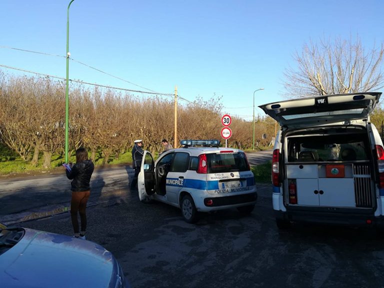 Degrado e gestione rifiuti, ditta nel mirino di Comune e vigili