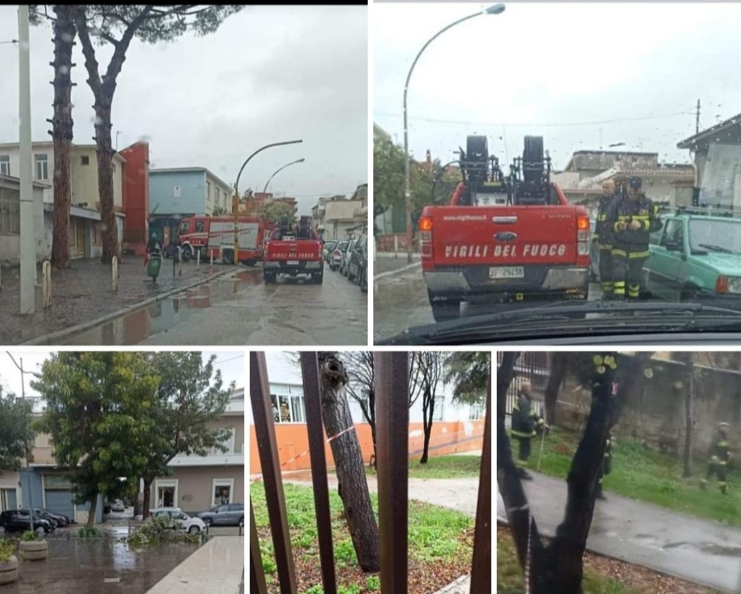 Maltempo fa crollare alberi. Altri sindaci chiudono le scuole domani