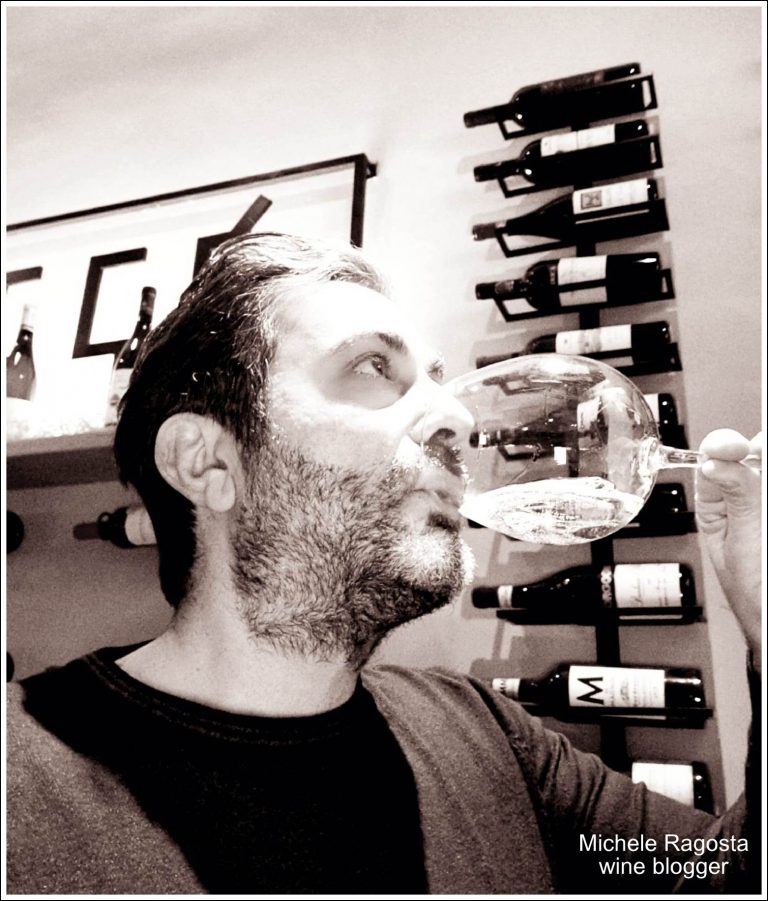 Il Wine Blogger, la nuova figura professionale a servizio del vino