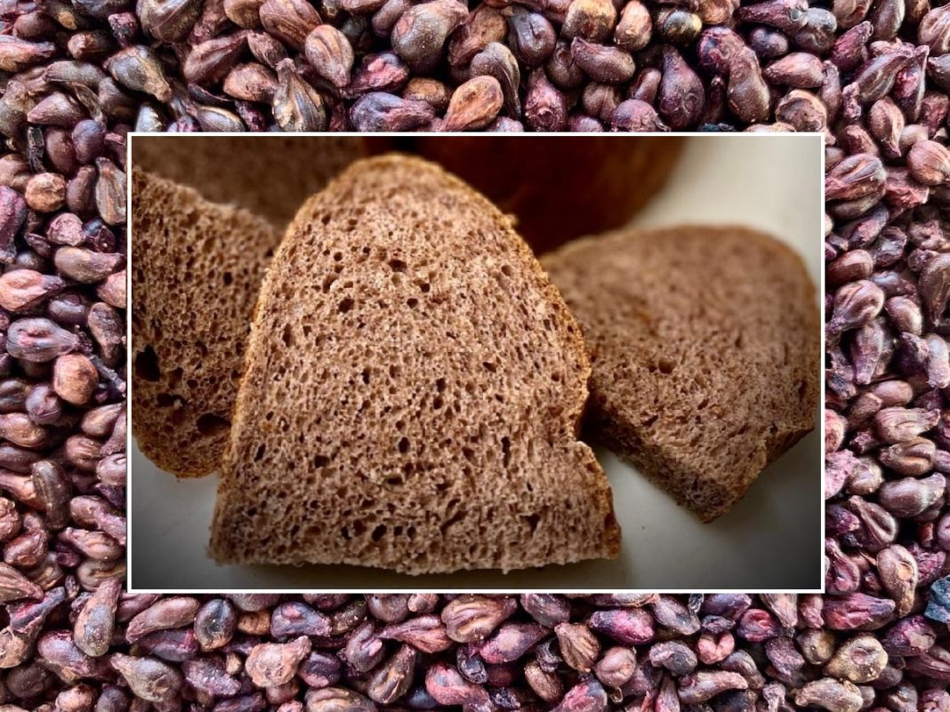 Farina dal vino, la svolta di un’azienda campana: “Gli chef la chiedono per proprietà benefiche”