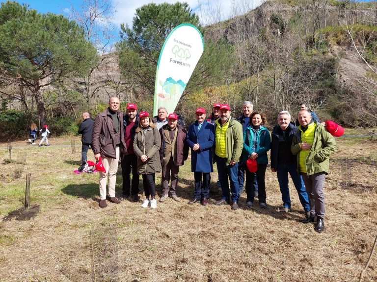 Rinaturalizzazione ambientale ai conetti vulcanici, a Pollena piantumati 50 alberi