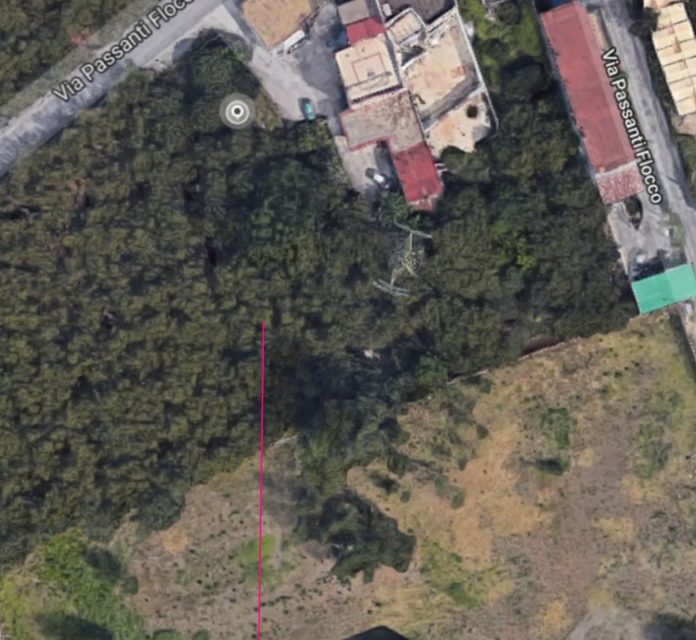 parco_boscoreale (1)