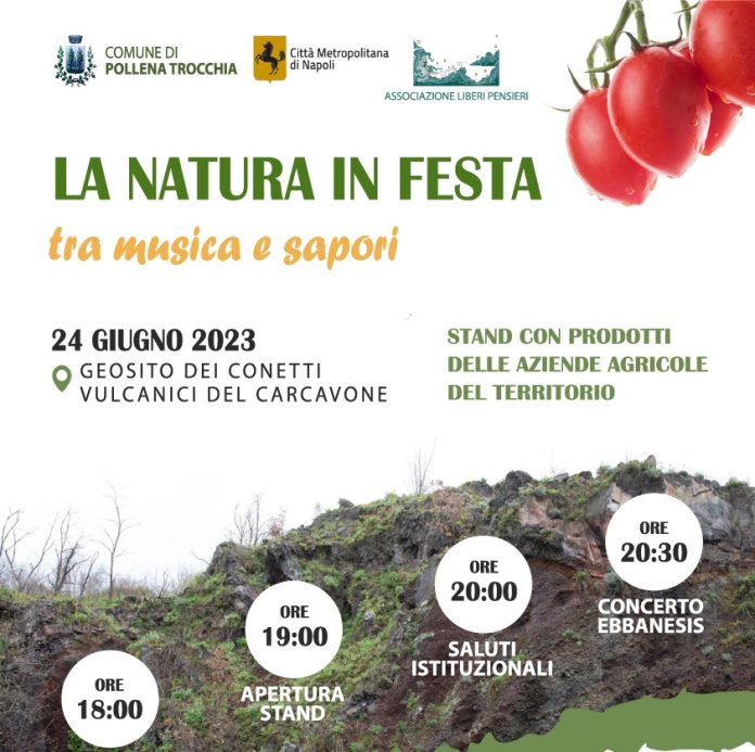 LOCANDINA pollena