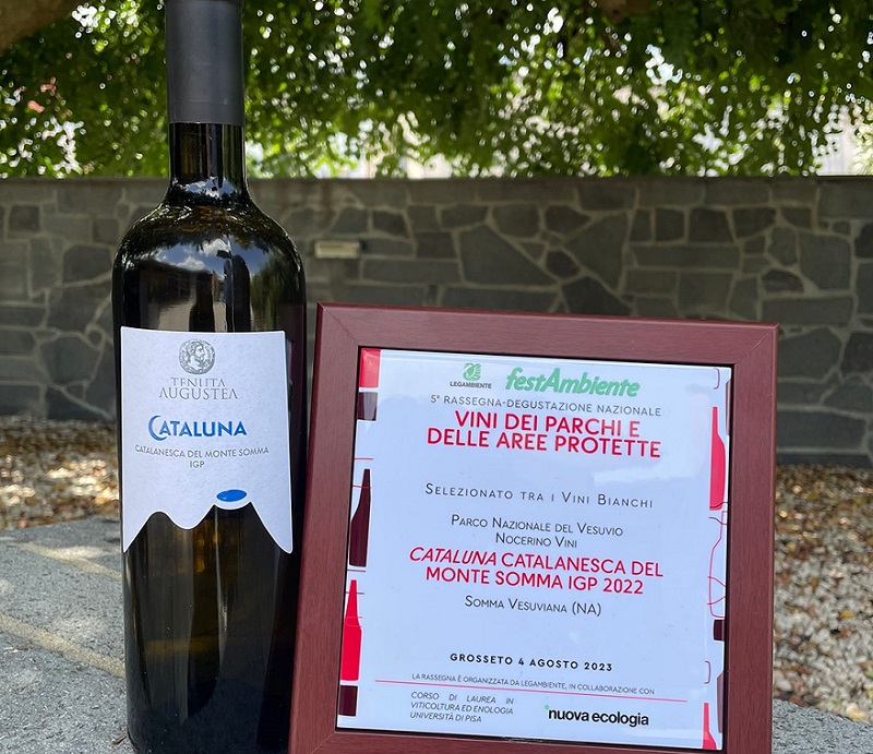 Somma Vesuviana, il Cataluna Catalanesca di Tenuta Augustea selezionato tra i migliori vini bianchi a 
